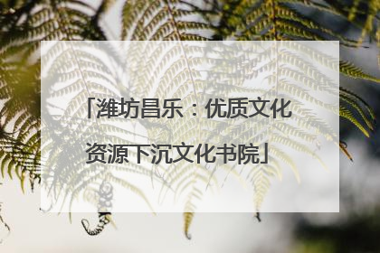 潍坊昌乐：优质文化资源下沉文化书院