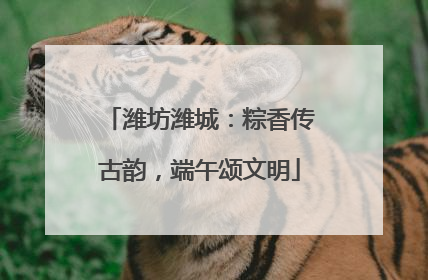 潍坊潍城：粽香传古韵，端午颂文明