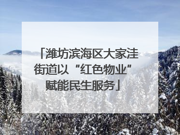 潍坊滨海区大家洼街道以“红色物业”赋能民生服务