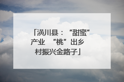 潢川县：“甜蜜”产业  “桃”出乡村振兴金路子
