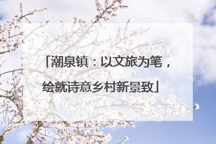 潮泉镇：以文旅为笔，绘就诗意乡村新景致