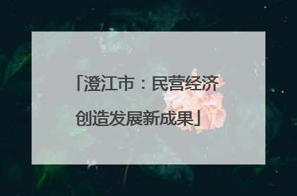 澄江市：民营经济创造发展新成果
