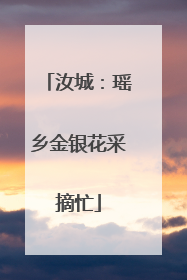 汝城：瑶乡金银花采摘忙