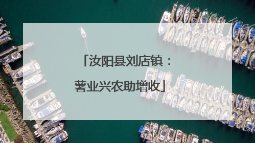 汝阳县刘店镇：薯业兴农助增收