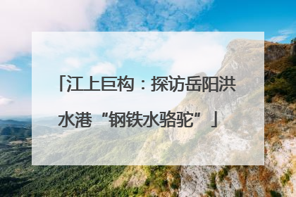 江上巨构：探访岳阳洪水港“钢铁水骆驼”