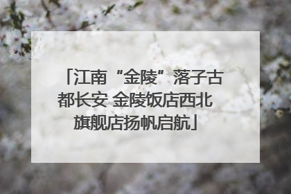 江南“金陵”落子古都长安 金陵饭店西北旗舰店扬帆启航