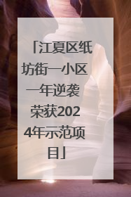 江夏区纸坊街一小区一年逆袭 荣获2024年示范项目