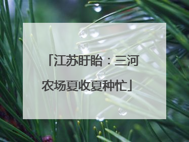 江苏盱眙：三河农场夏收夏种忙