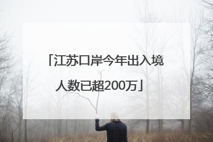 江苏口岸今年出入境人数已超200万