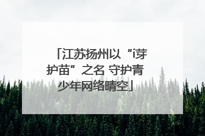 江苏扬州以“i芽护苗”之名 守护青少年网络晴空