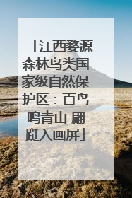 江西婺源森林鸟类国家级自然保护区：百鸟鸣青山 翩跹入画屏