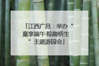江西广昌：举办“童享端午·粽趣横生”主题游园会