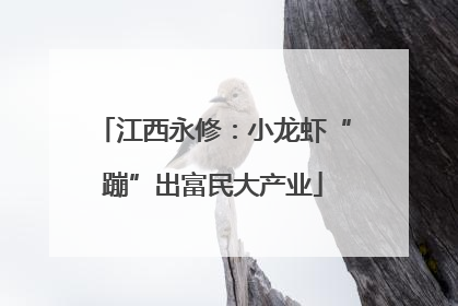 江西永修：小龙虾“蹦”出富民大产业