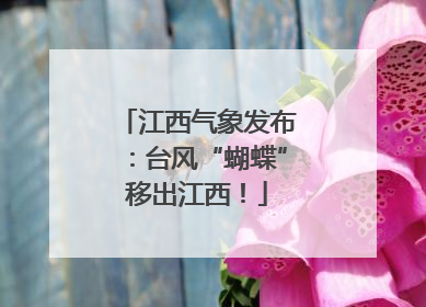 江西气象发布：台风“蝴蝶”移出江西！