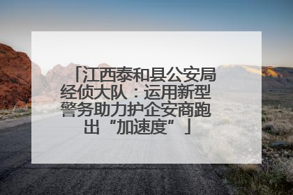 江西泰和县公安局经侦大队：运用新型警务助力护企安商跑出“加速度”