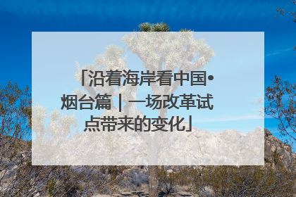 沿着海岸看中国•烟台篇｜一场改革试点带来的变化