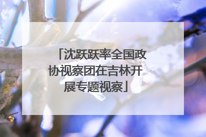 沈跃跃率全国政协视察团在吉林开展专题视察