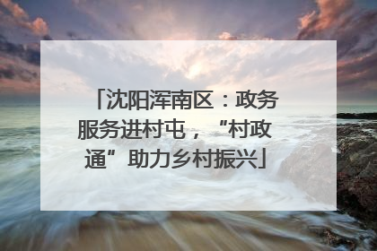 沈阳浑南区：政务服务进村屯，“村政通”助力乡村振兴