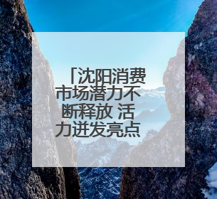 沈阳消费市场潜力不断释放 活力迸发亮点频现