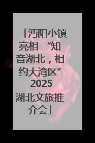 沔阳小镇亮相 “知音湖北，相约大湾区” 2025湖北文旅推介会