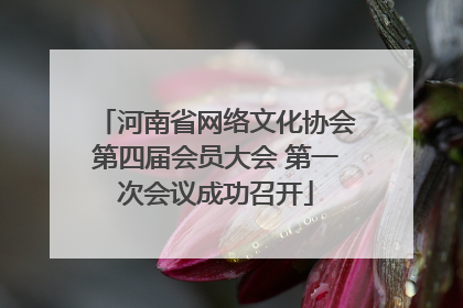 河南省网络文化协会第四届会员大会 第一次会议成功召开