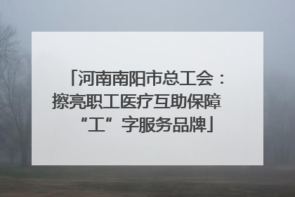 河南南阳市总工会：擦亮职工医疗互助保障“工”字服务品牌