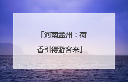 河南孟州：荷香引得游客来