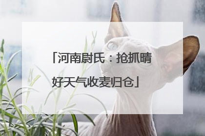 河南尉氏：抢抓晴好天气收麦归仓