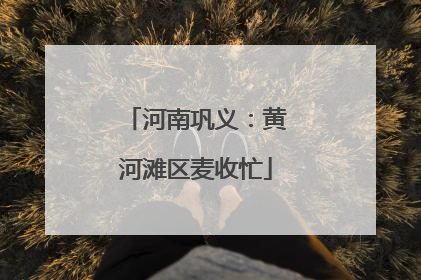 河南巩义：黄河滩区麦收忙