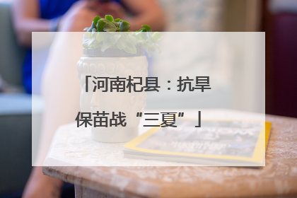 河南杞县：抗旱保苗战“三夏”