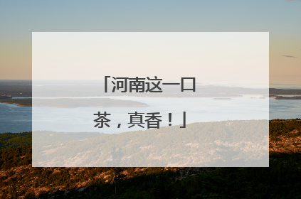 河南这一口茶，真香！