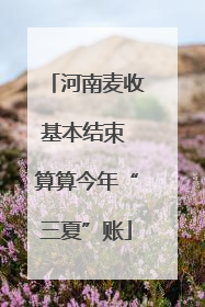 河南麦收基本结束 算算今年“三夏”账