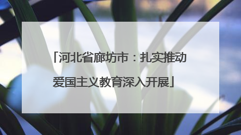 河北省廊坊市：扎实推动爱国主义教育深入开展