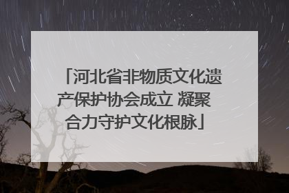 河北省非物质文化遗产保护协会成立 凝聚合力守护文化根脉
