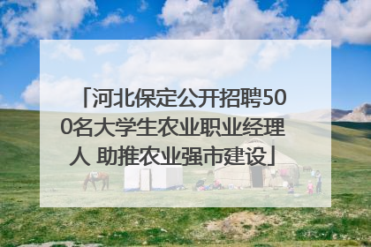 河北保定公开招聘500名大学生农业职业经理人 助推农业强市建设