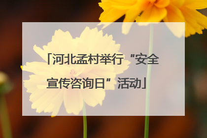 河北孟村举行“安全宣传咨询日”活动
