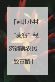 河北小村“麦客”经济铺就农民致富路