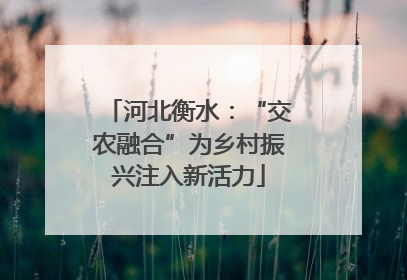 河北衡水：“交农融合”为乡村振兴注入新活力