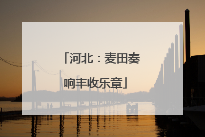 河北：麦田奏响丰收乐章