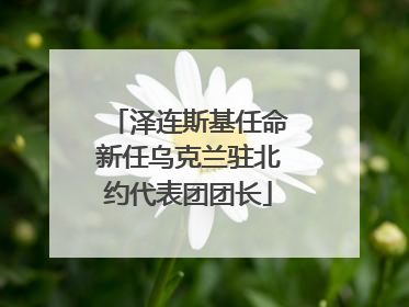 泽连斯基任命新任乌克兰驻北约代表团团长