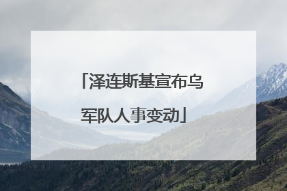 泽连斯基宣布乌军队人事变动