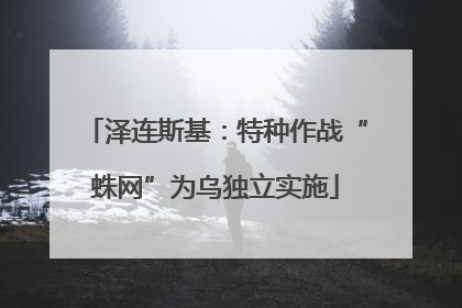 泽连斯基：特种作战“蛛网”为乌独立实施