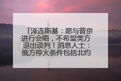 泽连斯基：愿与普京进行会晤，不希望美方退出谈判！消息人士：俄方停火条件包括北约“书面”保证不东扩