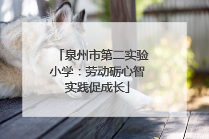 泉州市第二实验小学：劳动砺心智实践促成长