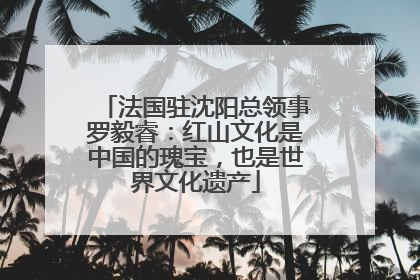 法国驻沈阳总领事罗毅睿：红山文化是中国的瑰宝，也是世界文化遗产
