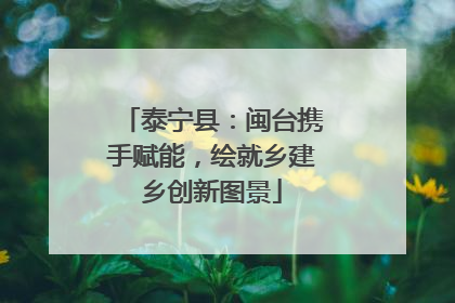 泰宁县：闽台携手赋能，绘就乡建乡创新图景