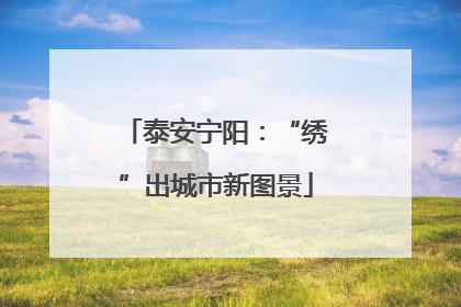 泰安宁阳：“绣”出城市新图景