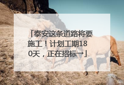 泰安这条道路将要施工！计划工期180天，正在招标→