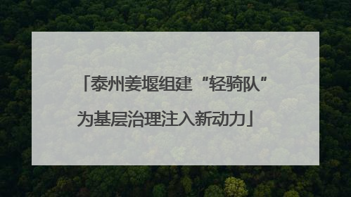 泰州姜堰组建“轻骑队”为基层治理注入新动力