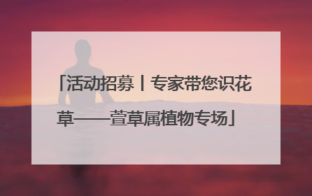 活动招募丨专家带您识花草——萱草属植物专场